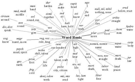 what is root word in english language