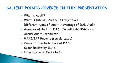 what is salient points meaning
