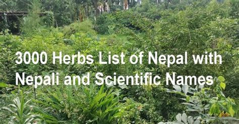 what is science in nepali