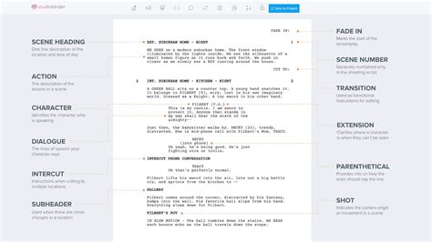 what is script writing in journalism
