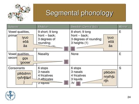 what is segmental phonology pdf
