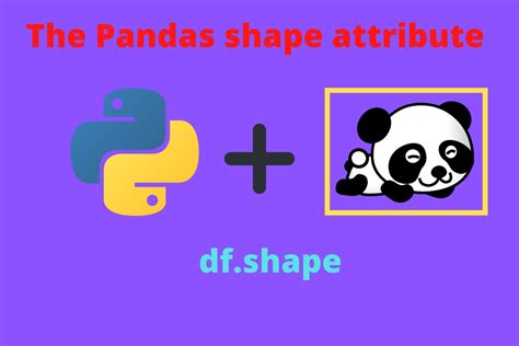 what is shape in python pandas
