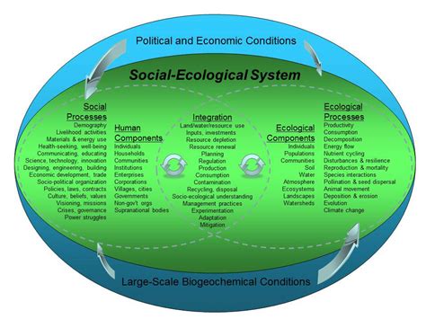 what is social ecological system theory