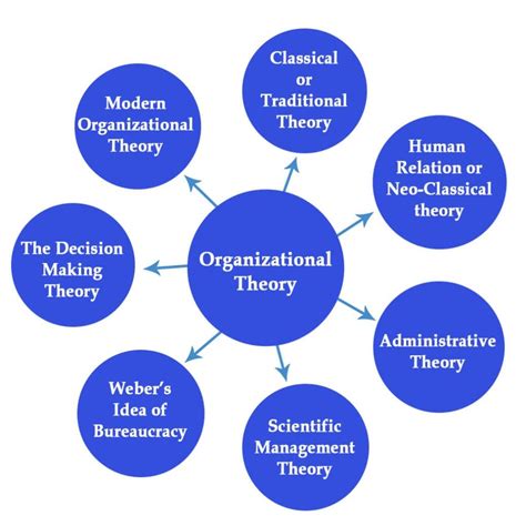 what is social organization theory