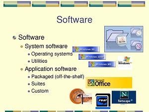 what is software give any three examples