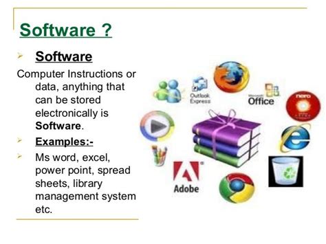 what is software give examples in computer