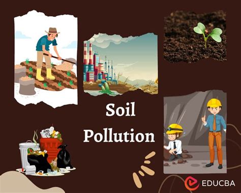 what is soil pollution for project work