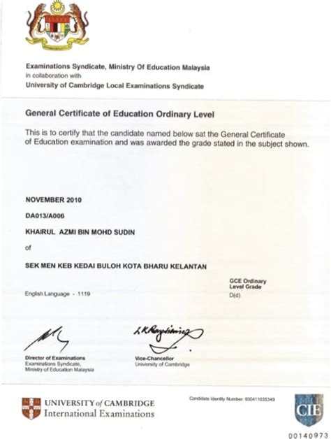 what is spm o level