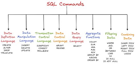 what is sql commands in dbms
