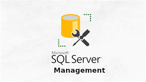 what is sql database management