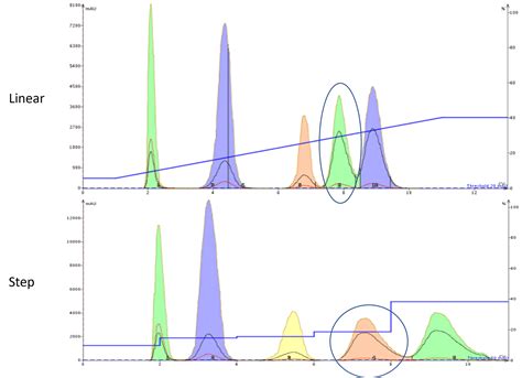 what is step gradient
