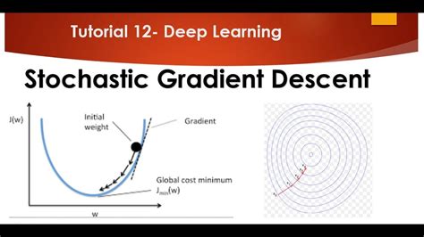 what is stochastic gradient descent vs gradient descent