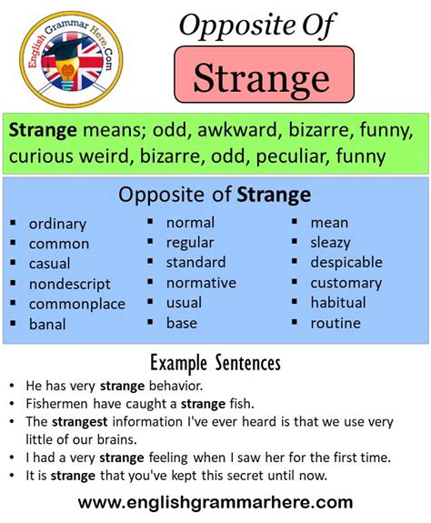 what is strange meaning in english