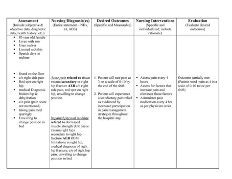 what is subjective and objective data in nursing care plan