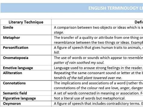 what is terminology definition in english