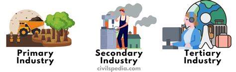 what is tertiary sector explain with example