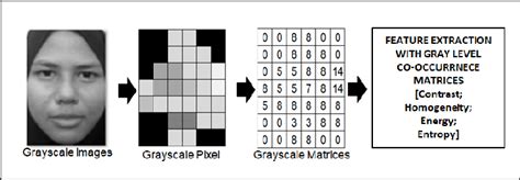 what is texture features in image processing