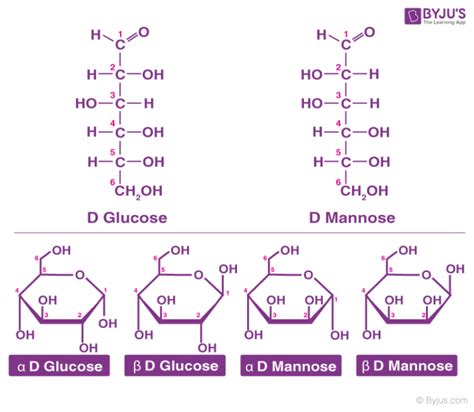 what is the basic molecular structure of carbohydrates