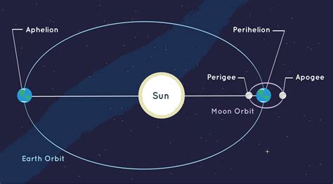 what is the basic shape of every planet's orbit