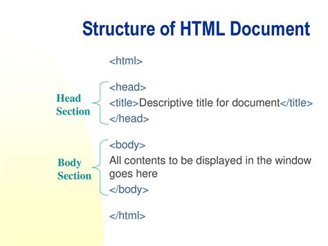 what is the basic structure of html document class 6