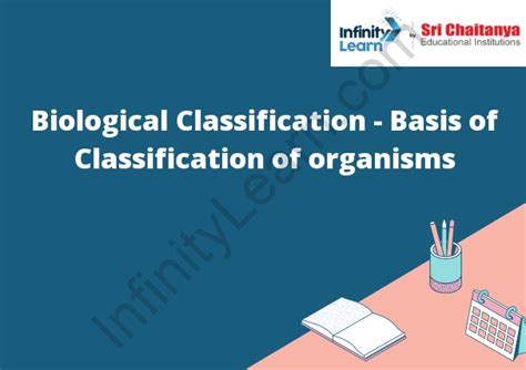what is the basis of classification class 9