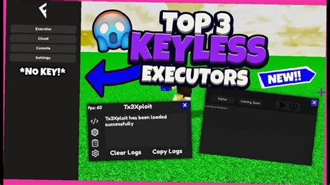 what is the best executor for roblox 2024