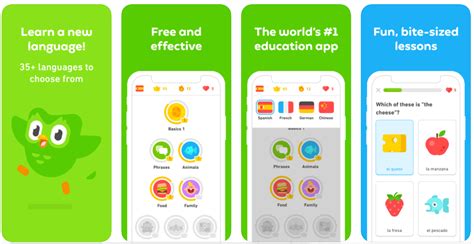 what is the best free app to learn a different language