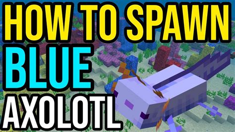 what is the code for spawning a blue axolotl in minecraft