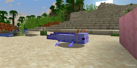 what is the code to get a blue axolotl in minecraft