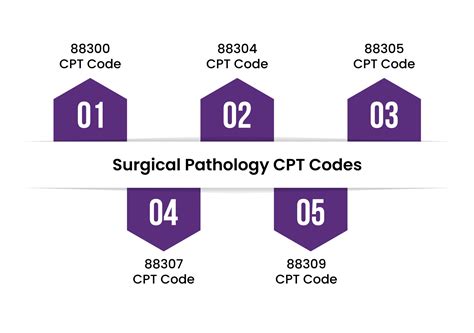 what is the cpt code for surgical pathology