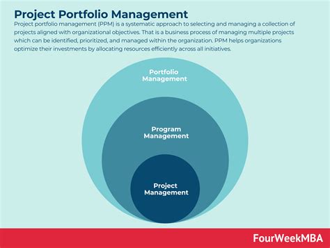 what is the definition of a portfolio in project management
