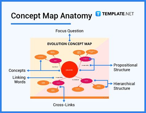 what is the definition of concept map