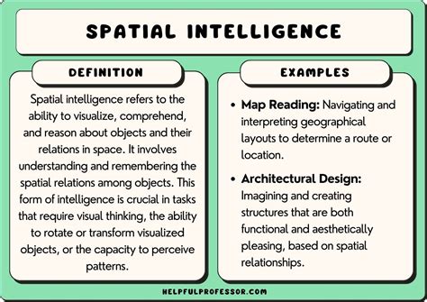 what is the definition of spatial intelligence