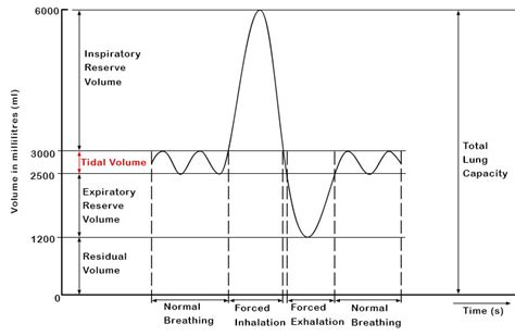 what is the definition of tidal volume