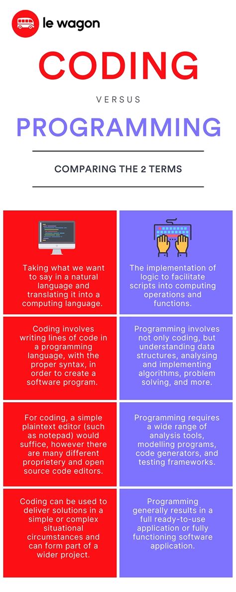 what is the difference between a program and a programmer