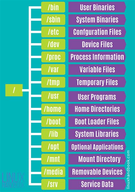 what is the difference between directory and file in linux