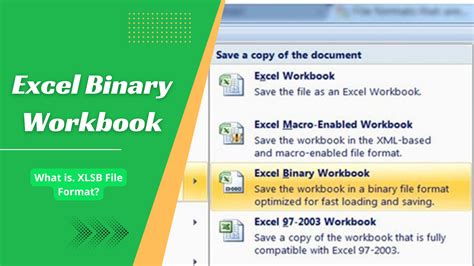 what is the difference between excel workbook and binary