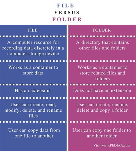 what is the difference between files and folders class 10