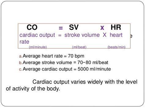 what is the equation for calculating cardiac output