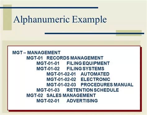 what is the example of alphanumeric