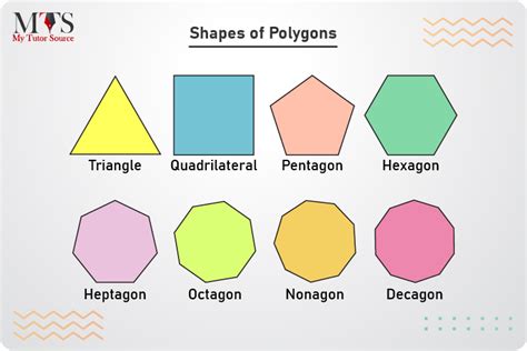 what is the example of polygon