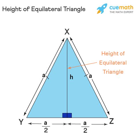 what is the formula of height in maths