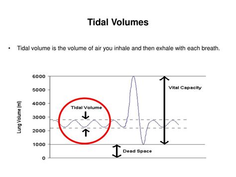 what is the formula of tidal volume