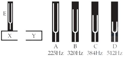 what is the frequency of a tuning fork