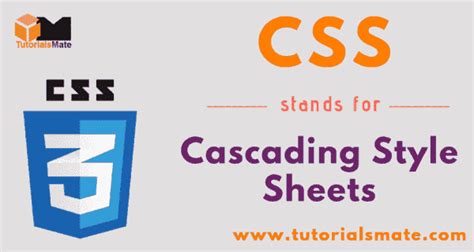 what is the full form of css in computer