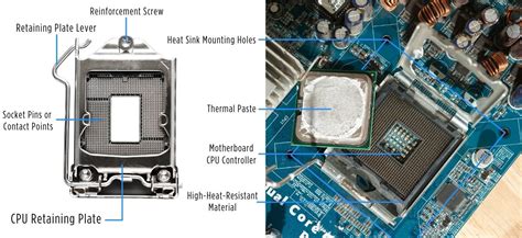 what is the function of cpu processor socket
