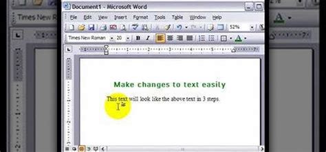 what is the function of format painter in microsoft word