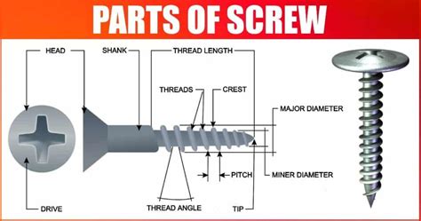 what is the function of phillips screw
