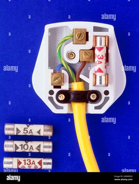 what is the function of the fuse in a three pin plug