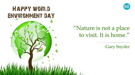 what is the introduction of environment day